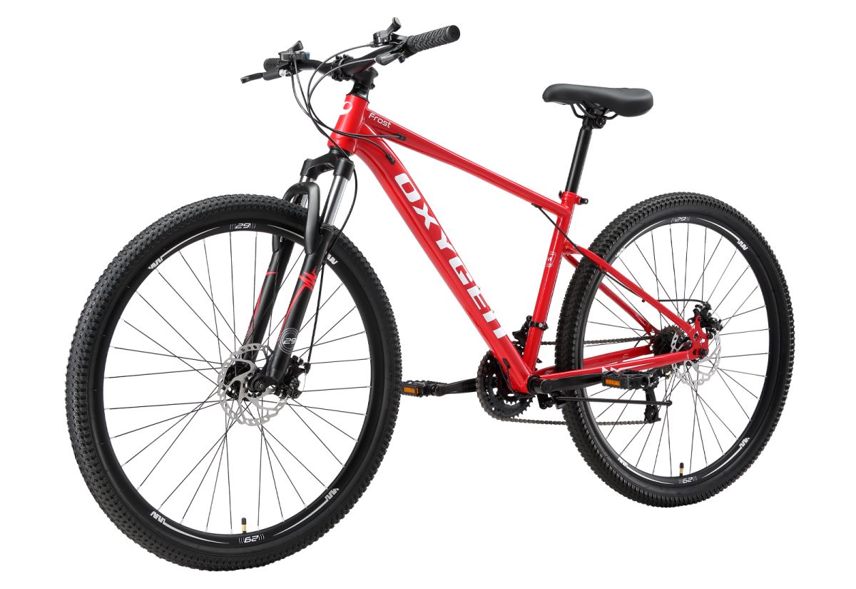 BICICLETA ARO 29 FROST