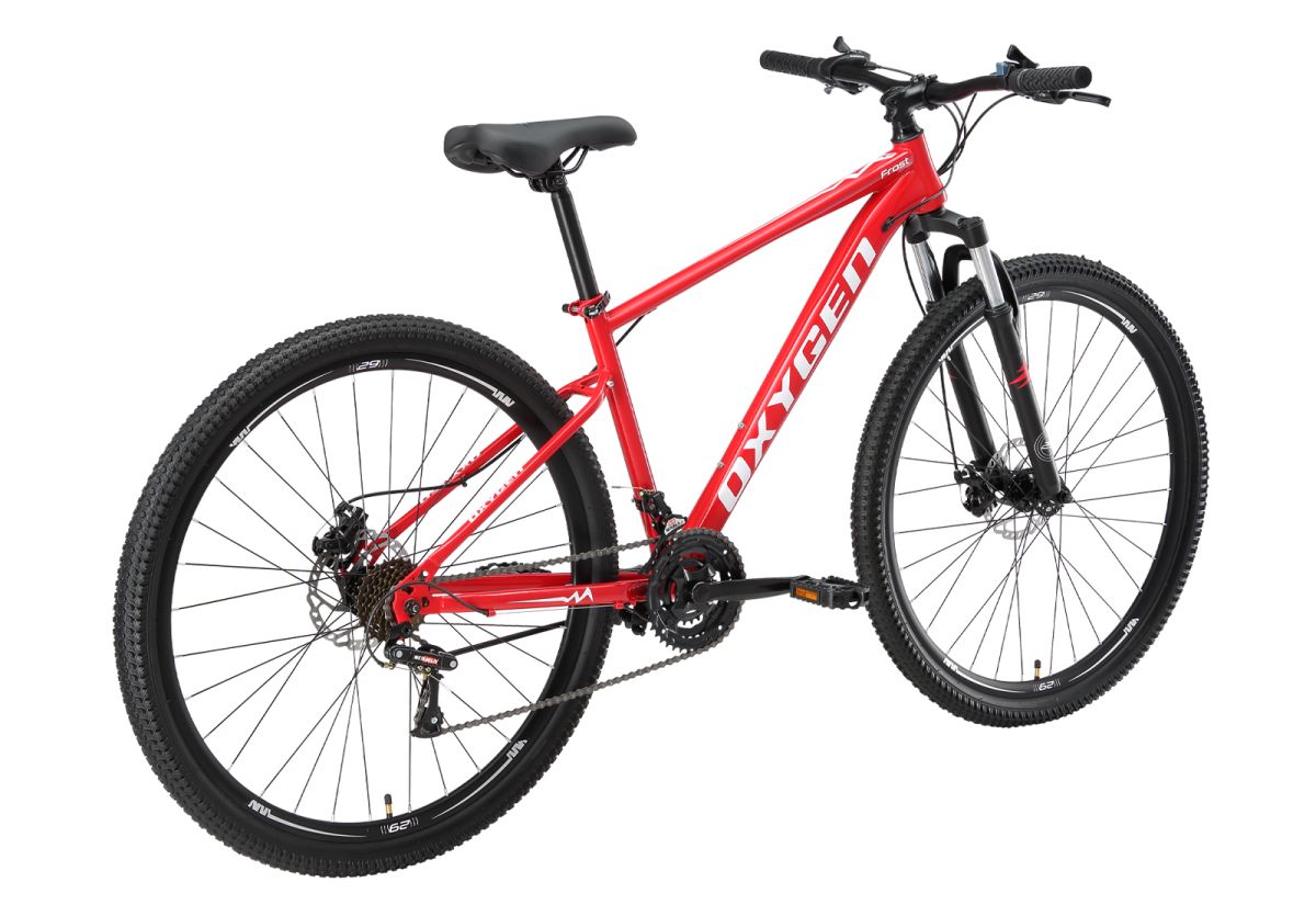 BICICLETA ARO 29 FROST