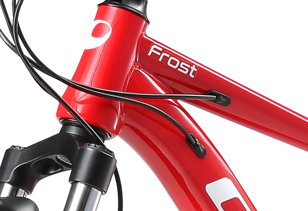 BICICLETA ARO 29 FROST